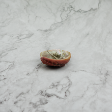 Load image into Gallery viewer, Abalone Shell & White Sage Set